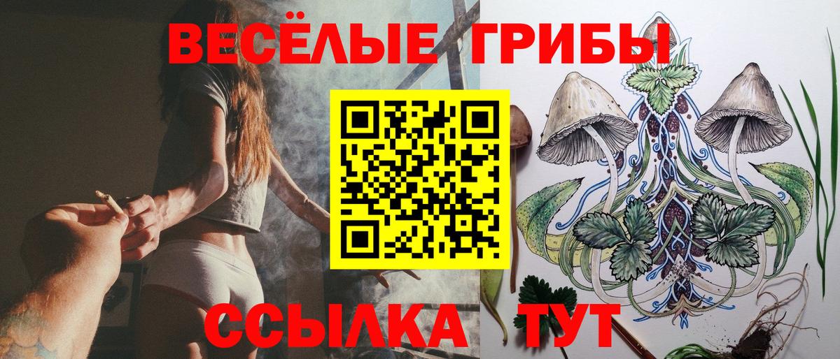 Галлюциногенные грибы Cubensis  Вход с VPN  Сальск  Псилоцибиновые грибы Magic Shrooms 